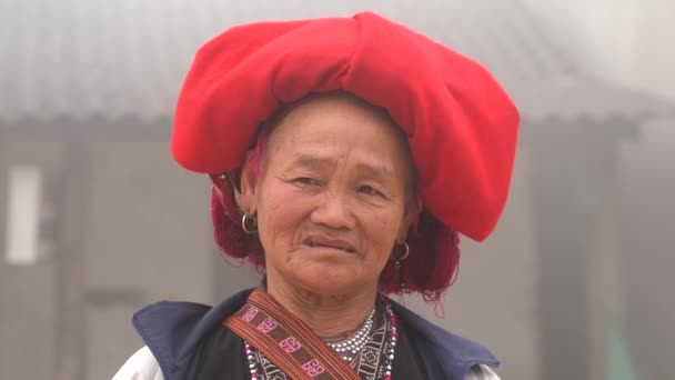 Sapa Vietnam March 2020 Hmong Ethnic Woman Traditional Dress Street — Stock Video