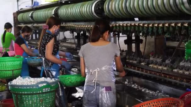 Dalat Vietnam March 2020 Silk Farm Clothes Produce Silkworm Insects — Video