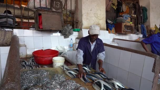坦桑尼亚桑给巴尔 2019年11月3日 非洲男子在坦桑尼亚桑给巴尔岛当地粮食市场准备和销售新鲜海鱼 — 图库视频影像