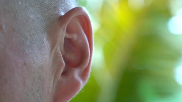 男は自然を背景に耳を動かす 大人の男性の耳を閉じてください 耳のマクロ撮影を屋外に移動してる 耳鼻咽喉科と聴覚健康 人間の顔と体の一部 ヘルスケアの概念 — ストック動画