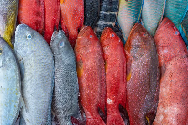 Fresh Sea Fish Sell Street Food Market Kota Kinabalu Island — Stock Photo, Image