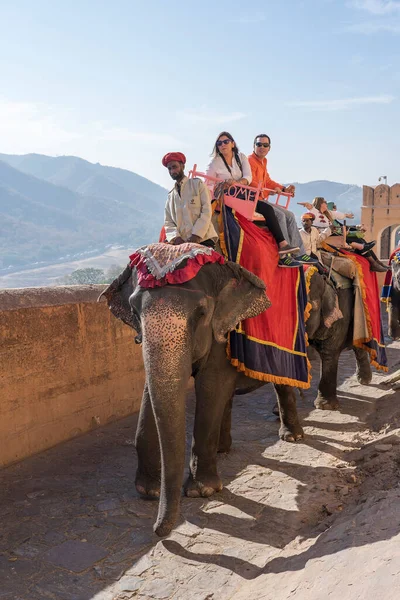 Jaipur India Novembre 2018 Gli Elefanti Decorati Cavalcano Turisti Sulla — Foto Stock