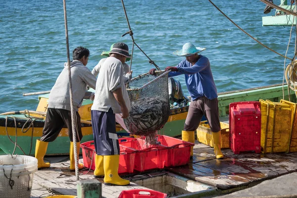 Kota Kinabalu Malaysia February 2020 Malaysian Fishermen Load Freshly Caught — Stock Photo, Image