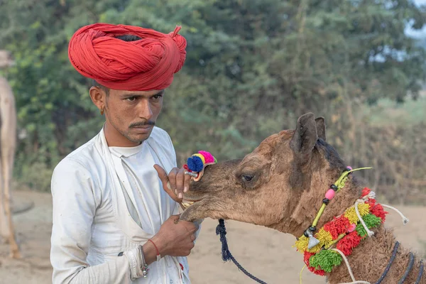 印度普什卡 2018年11月15日 印度拉贾斯坦邦普什卡 Pushkar Camel Mela 附近沙漠中的印度男子和骆驼 这是世界上最大的骆驼交易会 — 图库照片