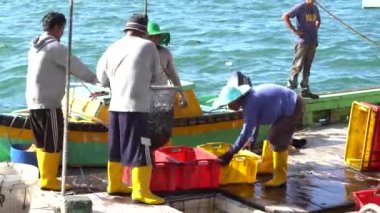 Kota Kinabalu, Malezya - 25 Şubat 2020: Malezyalı balıkçılar taze avlanan balıkları bir gemiden Kota Kinabalu, Sabah, Malezya 'daki sokak filipin pazarındaki plastik konteynırlara yüklüyorlar