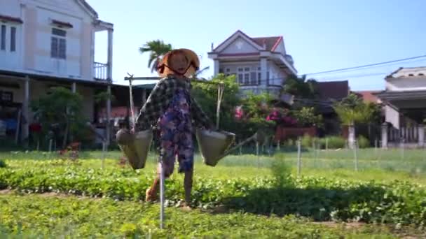 Хойан Вьетнам Июля 2020 Года Вьетнамская Старшая Женщина Поливает Огород — стоковое видео