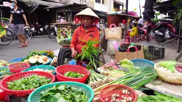 Hoi Vietnam June 2020 Vietnamese Old Women Sell Fresh Vegetables — Vídeo de Stock