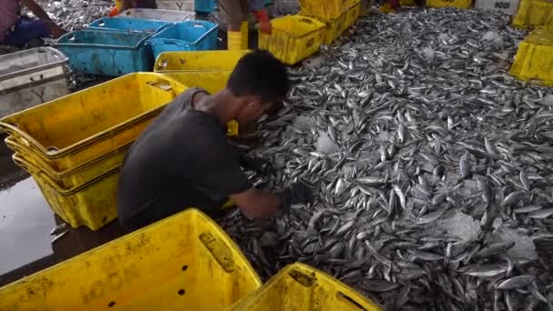 Kota Kinabalu Μαλαισία Φεβρουαρίου 2020 Μαλαισιανοί Εργάτες Μετατρέπουν Πρόσφατα Αλιευόμενα — Αρχείο Βίντεο