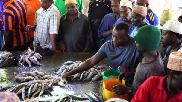 Zanzibar Tanzanie Listopad 2019 Afričané Prodávají Čerstvé Mořské Ryby Místní — Stock video