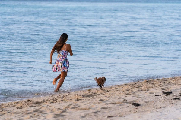Koh Phangan Thailand February 2022 Woman Dog Running Free Beach — 图库照片