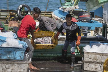 Kota Kinabalu, Malezya - 25 Şubat 2020: Malezyalı erkek işçilerin Kota Kinabalu, Sabah, Malezya 'daki balıkçı teknesinde portresi