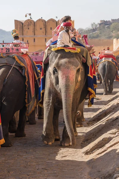 Jaipur, Hindistan - 26 Kasım 2018: Madalyalı filler eski Hindistan 'ın Rajasthan kentindeki Jaipur Kalesi' nde turistlere biniyor