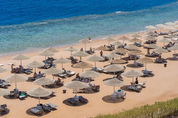 Sharm Sheikh Egipt Maja 2021 Ludzie Relaksują Się Luksusowej Piaszczystej — Zdjęcie stockowe