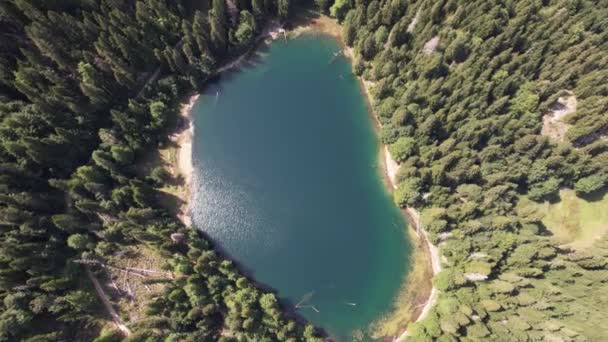 Uitzicht Vanuit Lucht Het Bergmeer Omgeven Door Dichte Naald Beukenbossen — Stockvideo