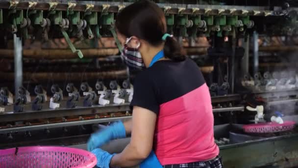 Dalat Vietnam March 2020 Silk Farm Clothes Produce Silkworm Insects — Stock video