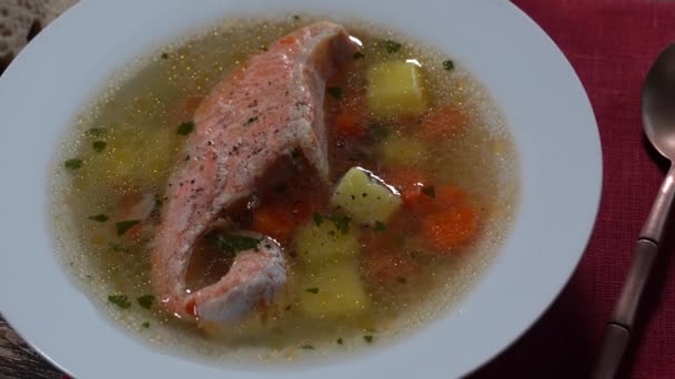 Fresh Salmon Fish Soup Carrots Potatoes Herbs White Plate Close — Stock Video