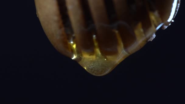 Houten Stok Voor Honing Met Honing Dikke Honing Druipend Stromend — Stockvideo