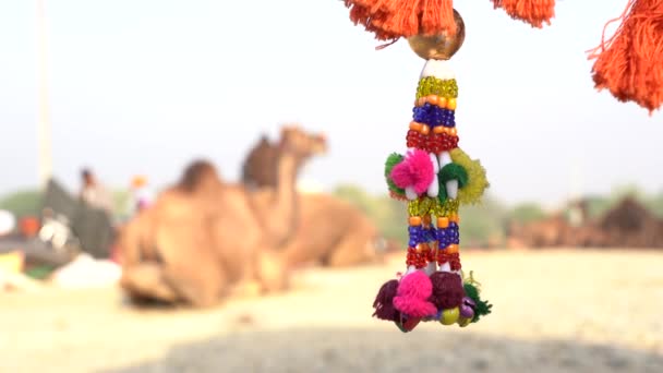 Decorative Ornaments Colored Threads Beads Hanging Umbrella Time Pushkar Camel — Vídeo de Stock
