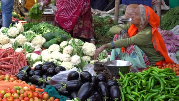 インド ジャイプール 2018年11月25日 インド ラジャスタン州ジャイプールの旧市街市場で野菜を販売する食品貿易業者 — ストック動画