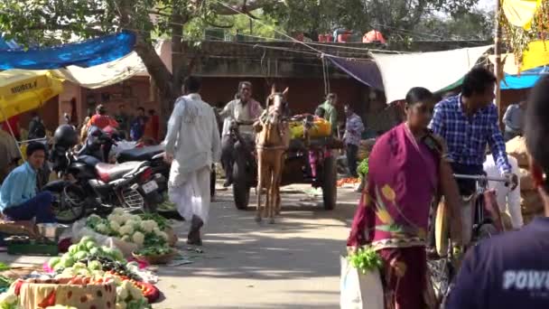 Jaipur India November 2018 Élelmiszer Kereskedő Zöldségeket Árul Utcai Piacon — Stock videók