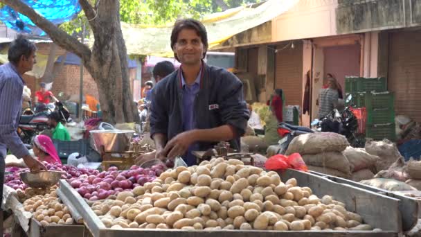 Jaipur India November 2018 Food Trader Selling Vegetables Street Market — Stockvideo