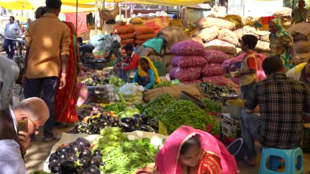 Jaipur India November 2018 Voedselhandelaar Die Groenten Verkoopt Straatmarkt Oude — Stockvideo