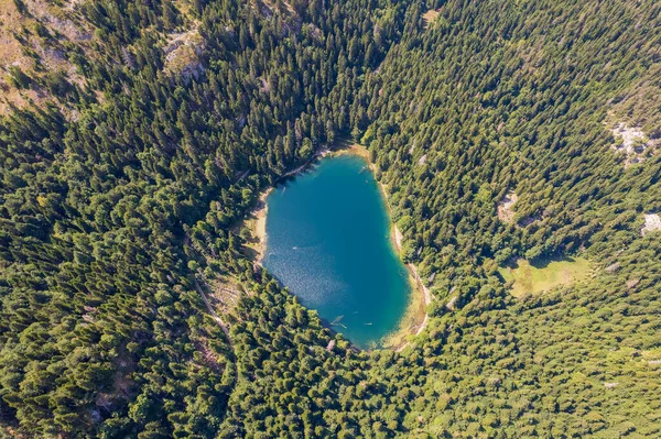 Vue Aérienne Lac Montagne Entouré Forêts Denses Conifères Hêtres Monténégro — Photo