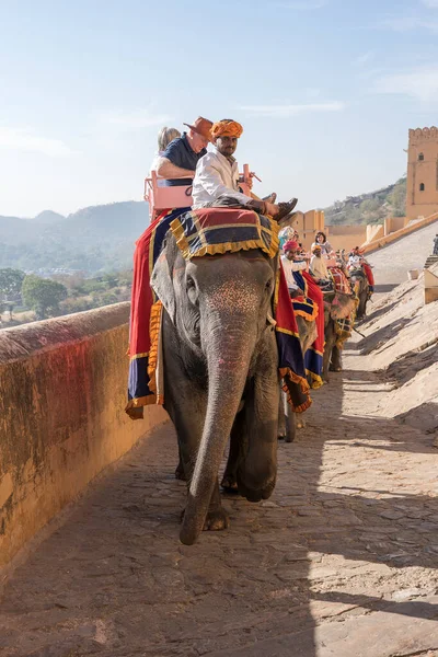 Jaipur India Novembre 2018 Gli Elefanti Decorati Cavalcano Turisti Sulla — Foto Stock