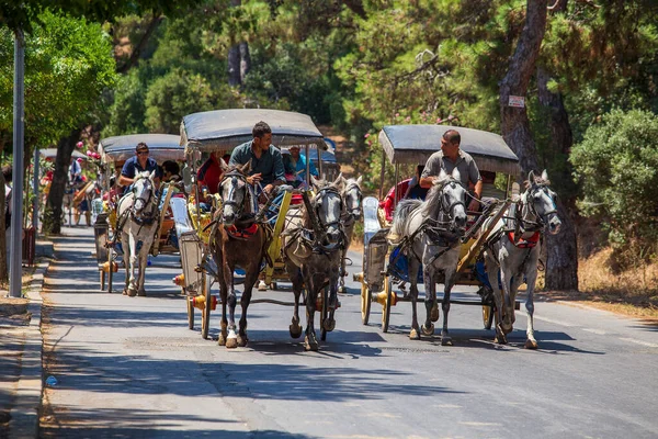 Buyukada Island Turkey July 2015 Horse Drawn Tourist Cart Island — 图库照片