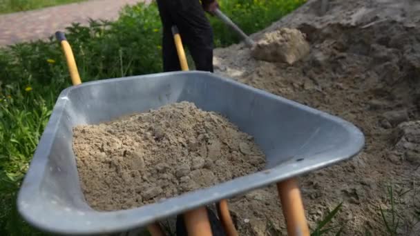 Arbetare Som Använder Spade Häller Sand Skottkärra Nära Trädgården Närbild — Stockvideo