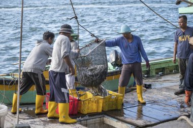 Kota Kinabalu, Malezya - 25 Şubat 2020: Malezyalı balıkçılar taze avlanan balıkları bir gemiden Kota Kinabalu, Sabah, Malezya 'daki sokak filipin pazarındaki plastik konteynırlara yüklüyorlar