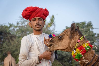 Pushkar, Hindistan - 15 Kasım 2018: Hintli adam ve deve çölde Pushkar Camel Mela sırasında kutsal şehir Pushkar, Rajasthan, Hindistan yakınlarında. Bu fuar dünyanın en büyük deve ticaret fuarı.