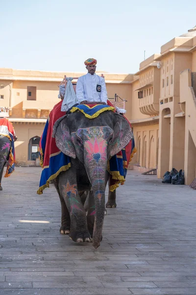 Jaipur India Nov 2018 Versierde Olifanten Rijden Toeristen Weg Amber — Stockfoto