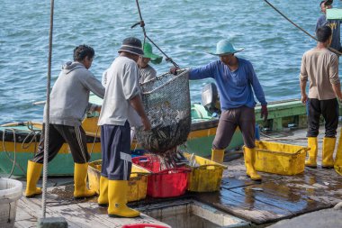 Kota Kinabalu, Malezya - 25 Şubat 2020: Malezyalı balıkçılar taze avlanan balıkları bir gemiden Kota Kinabalu, Sabah, Malezya 'daki sokak filipin pazarındaki plastik konteynırlara yüklüyorlar