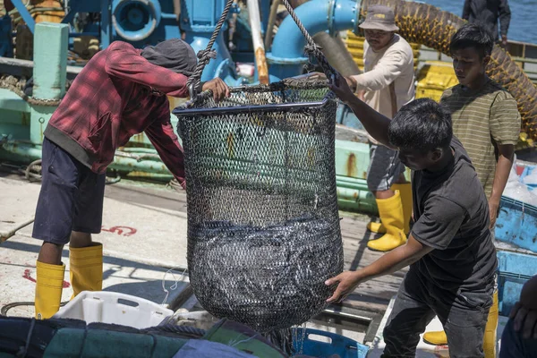 Kota Kinabalu Malásia Fevereiro 2020 Pescadores Malaios Carregam Peixes Recém Fotos De Bancos De Imagens Sem Royalties