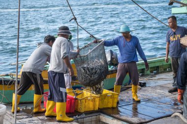 Kota Kinabalu, Malezya - 25 Şubat 2020: Malezyalı balıkçılar taze avlanan balıkları bir gemiden Kota Kinabalu, Sabah, Malezya 'daki sokak filipin pazarındaki plastik konteynırlara yüklüyorlar