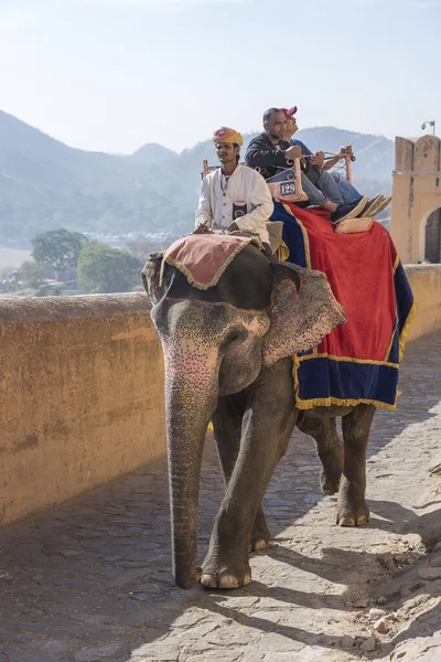 Jaipur India Nov 2018 Versierde Olifanten Rijden Toeristen Weg Amber — Stockfoto