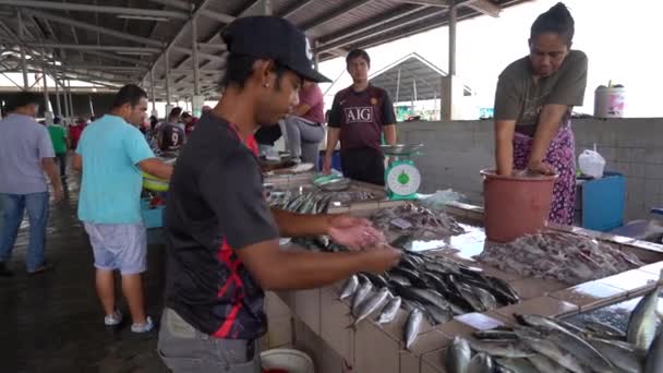 Kota Kinabalu Malaysia February 2020 Street Scene Business Activity Buying — Stockvideo