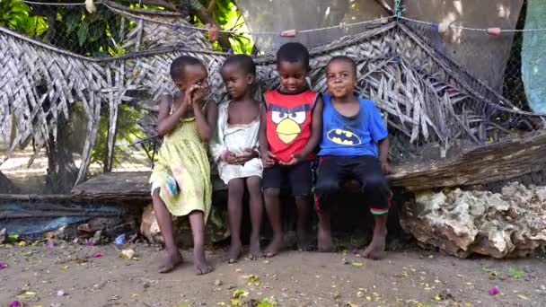 Zanzibar Tanzania Noiembrie 2019 Copii Africani Necunoscuți Stradă Din Insula — Videoclip de stoc