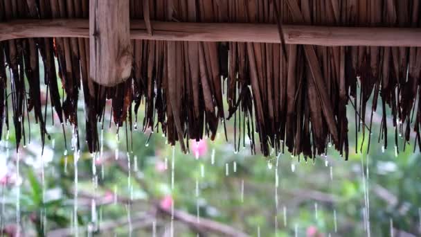 タンザニアのザンジバル島東アフリカの庭のわら屋根の上に降る熱帯夏の雨が降る — ストック動画
