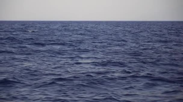 蓝海海浪与快艇唤醒泡沫的螺旋桨洗净 船舶航行过程中的海水 旅行和自然的概念 慢动作 — 图库视频影像