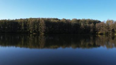 Ukrayna, Avrupa 'daki yeşil bir ormanın yakınındaki sakin bir gölün üzerinde uçuyor. Yaz günü göl suyu ve kozalaklı orman manzarası. Seyahat ve doğa kavramı