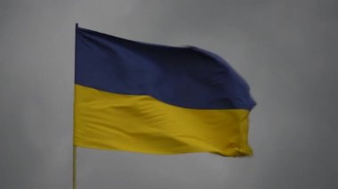 Ukrayna bayrağı gökyüzüne karşı rüzgarda dalgalanıyor, yaklaşın. Ukrayna ulusal rengi sarı ve mavi