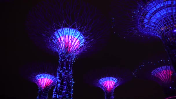 Singapore Şehri Mart 2019 Marina Körfezi Yakınlarındaki Gardens Süper Ağaçlar — Stok video