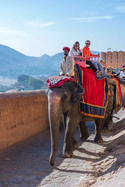 Jaipur Indie Listopadu 2018 Dekorovaní Sloni Jezdí Turistech Silnici Amber — Stock fotografie