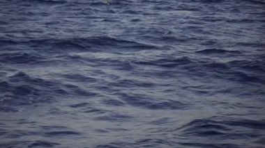 Hızlı yat teknesiyle mavi okyanus suyu dalgası pervane yıkama köpüğünü uyandırıyor. Geminin hareketi sırasında deniz suyu. Seyahat ve doğa kavramı. Yavaş çekim