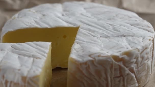 Rotierender Camembert Frischkäse Nahaufnahme Milchproduktekonzept Köstliche Stücke Von Weißem Schimmelkäse — Stockvideo