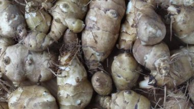 Bir grup taze Kudüs enginarı arka planı, yakın plan, üst görüş, dönüşler. Kudüs enginarları, güneş kökleri ya da güneş boğması.