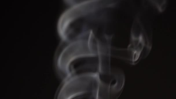 Fumo Branco Sobre Fundo Preto Câmara Lenta Vapor Branco Gira — Vídeo de Stock