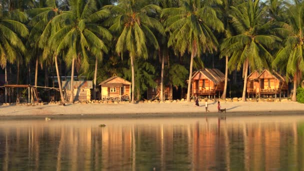 타이의 Koh Phangan 2019 아름다운 코코넛 야자수와 바닷물에 반사되는 방갈로 — 비디오